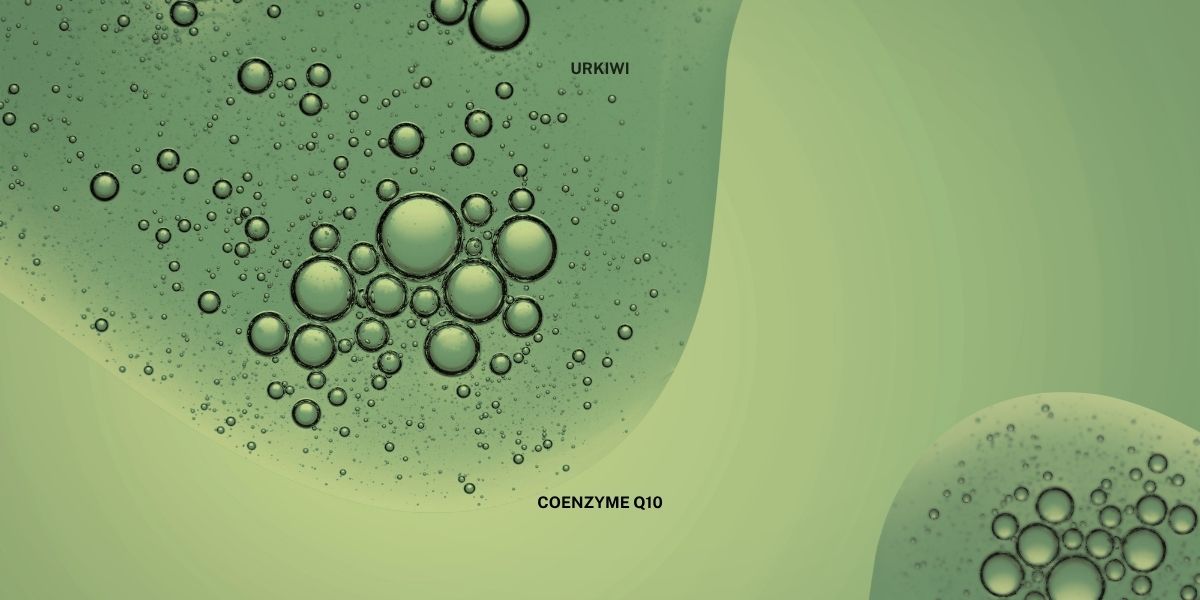 Coenzyme Q10輔酶Q10完整指南：還原型、氧化型、功效與禁忌族群解析